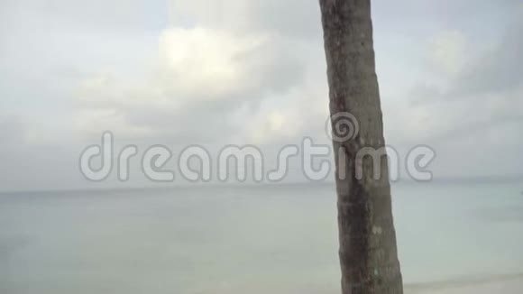 异国之旅海水温暖的海岸上高大的热带棕榈树视频的预览图