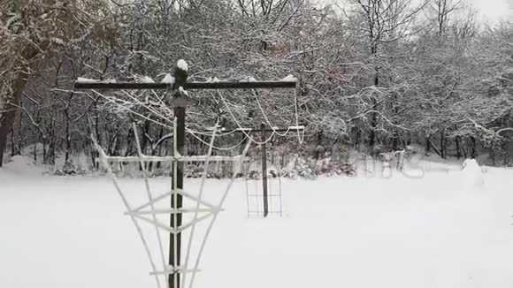 秋天的暴风雪后的后院视频的预览图
