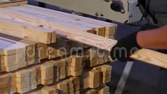一个女人转移木梁一个女人在木工工厂工作视频的预览图