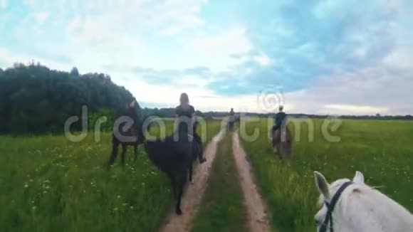 骑着白马的骑士跟随着一群骑马的女人视频的预览图