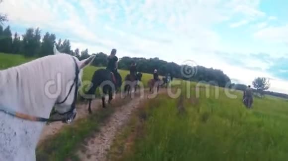 骑在白色马背上的骑手在田野里跟着一群骑手走视频的预览图