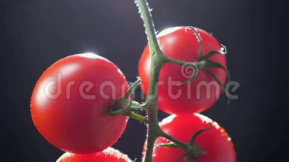 在黑色背景上一堆红色西红柿从上到下顺时针慢慢旋转视频的预览图