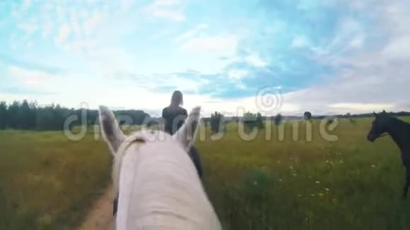 白马在田野上骑着马跟着妇女视频的预览图