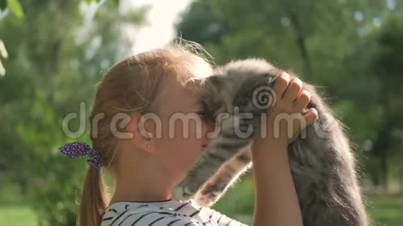可爱的小女孩金发女孩和小猫女孩在夏天公园和猫玩视频的预览图