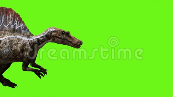 绿色屏幕上的恐龙动画很现实的渲染4k视频的预览图