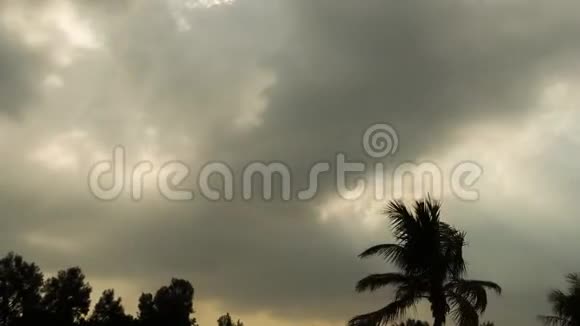 乌云和阳光在海滩棕榈树上的时间流逝视频的预览图