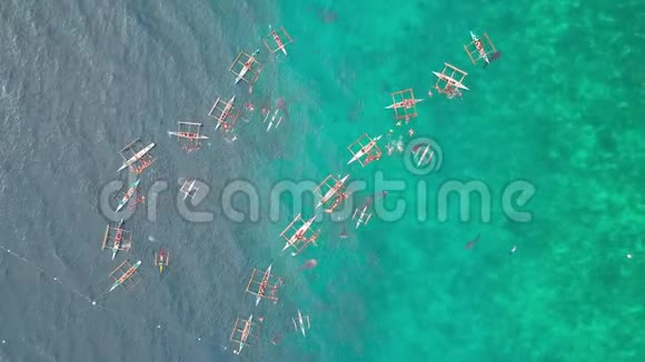 从自然保护区的开阔海域的船只上俯瞰野生鲸鲨空中射击游客浮潜视频的预览图