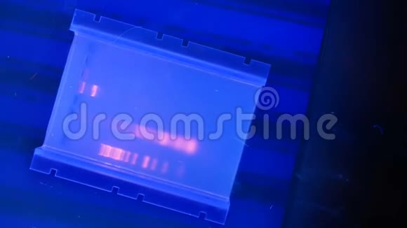 紫外线中琼脂糖凝胶中的DNA视频的预览图