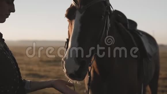 年轻女孩抚摸和拥抱马与马的女人亲密视频的预览图