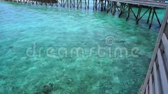 清澈的马尔代夫土耳其湾浅岸视频的预览图