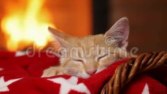 小猫睡在壁炉边的红毯子上视频的预览图