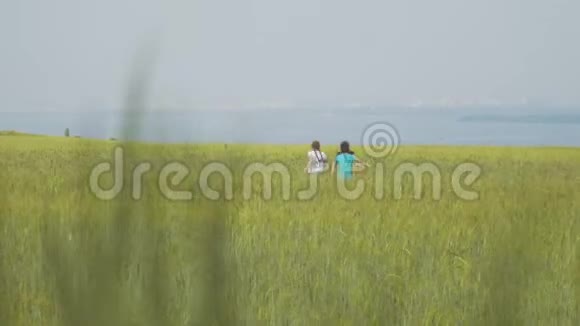 快乐的孩子们在夏日草地上跑开后视图视频的预览图