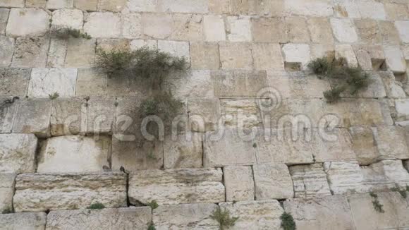 耶路撒冷的一堵西墙以色列视频的预览图