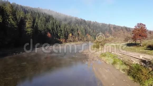 在喀尔巴阡山的斯特里伊山上飞行美丽的大自然银行里的木制原木视频的预览图