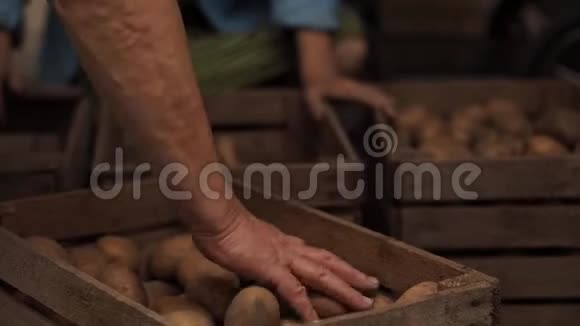 老年人用木箱把土豆分类视频的预览图