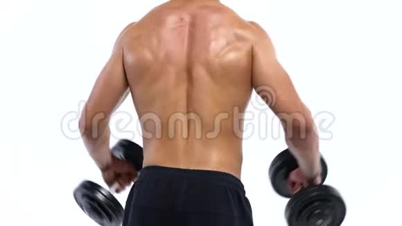 男人用哑铃弯曲他的手在工作室里用白色背景训练他的肩膀后视视频的预览图