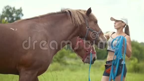 年轻女子骑着一匹马站在夏天的田野上视频的预览图