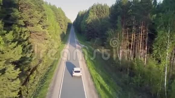 空中公路蜿蜒于阳光充足和阴暗的森林两侧视频的预览图