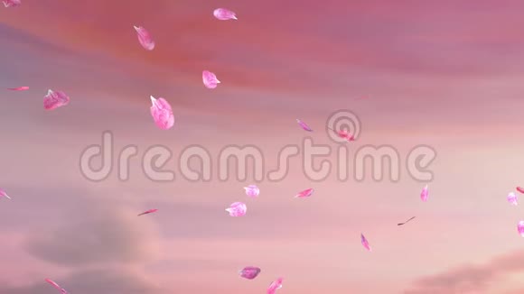 川足樱桃树飘落的樱花花瓣飞翔的樱花花瓣日本的樱花渲染3d视频的预览图