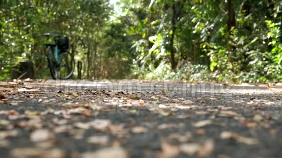 亚洲人骑自行车在郁郁葱葱的绿色森林里的赛道上锻炼视频的预览图