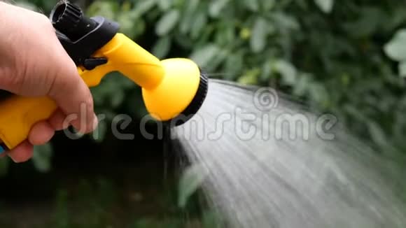 夏季园艺用花园浇水罐或喷雾器手工浇水视频的预览图