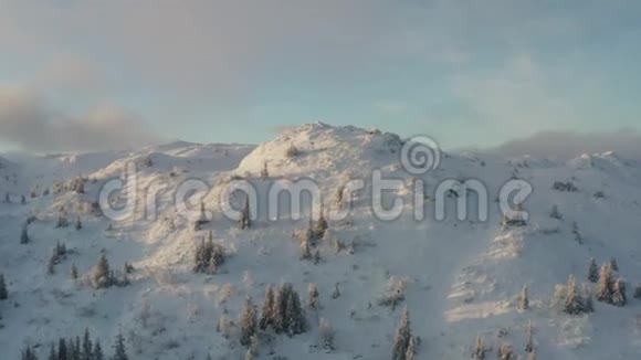 挪威的冬雪森林视频的预览图