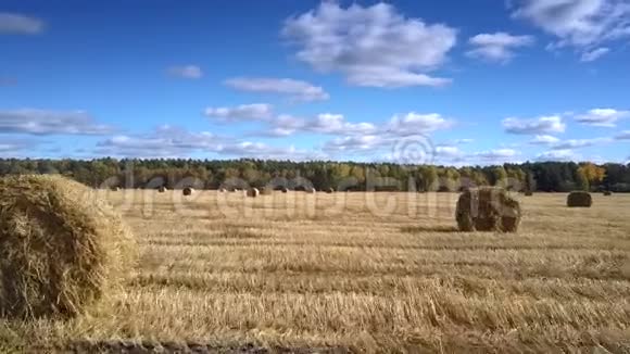 地面上散落的草包对森林的空中运动视频的预览图