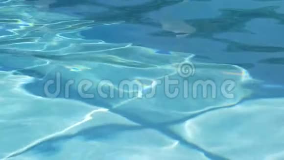 球在游泳池内缓慢落地并溅起水花视频的预览图