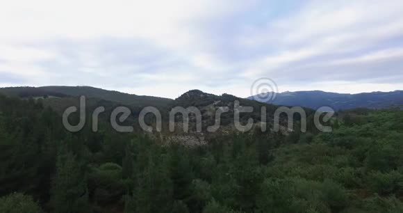 4k山脉自然树木和动物视频视频的预览图