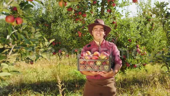 农民的画像用一盒苹果竖起大拇指展示他的肌肉视频的预览图