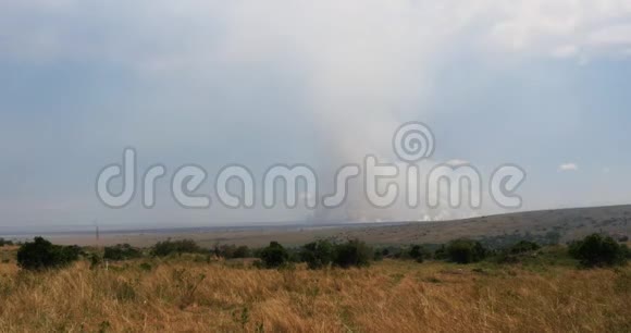 肯尼亚马赛马拉公园萨凡纳大火实时视频的预览图