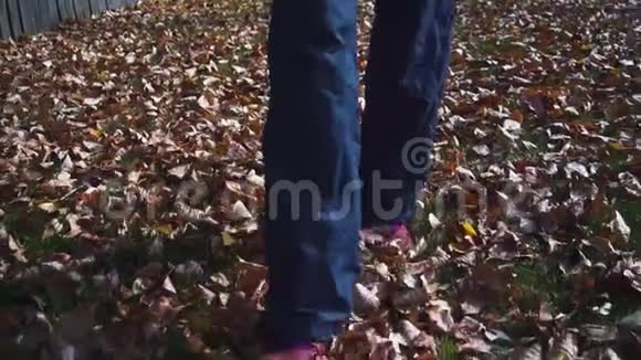 女人的双腿在公园秋天的落叶上视频的预览图
