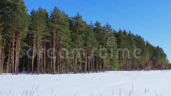 冬季森林的两条电力线路视频的预览图