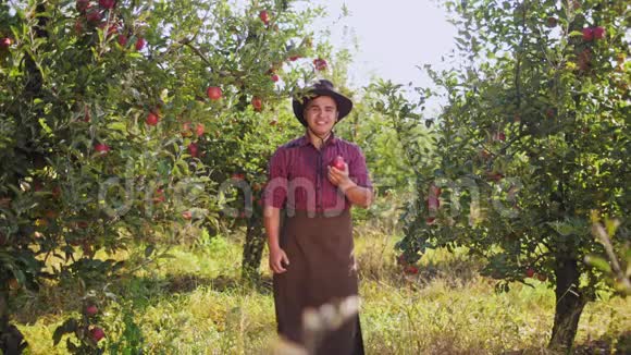 一个年轻的农民在苹果园里吃苹果竖起大拇指视频的预览图