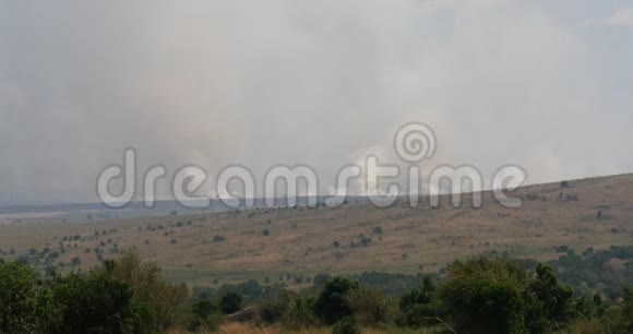 肯尼亚马赛马拉公园萨凡纳大火实时视频的预览图