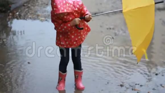 有趣的女孩在下雨天在水坑里跳和玩伞视频的预览图