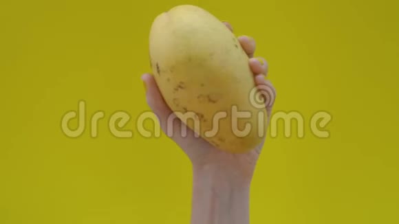黄色指甲在黄色背景下拿着芒果的女人慢镜头视频的预览图