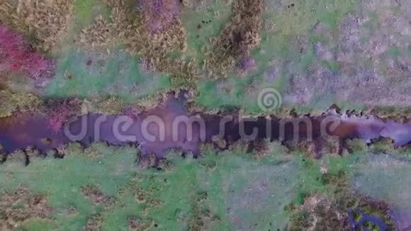 春天午后草地上一条小河的空中景象视频的预览图