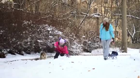 妈妈和女儿带着可爱的科吉毛绒小狗在户外散步视频的预览图