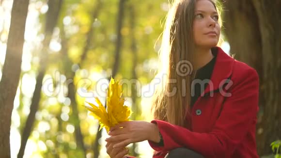 美丽的女孩坐在秋天的森林里收集着一束黄色的枫叶慢动作视频的预览图