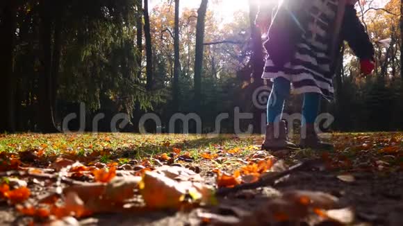 小女孩在秋天的森林里收集橡子视频的预览图