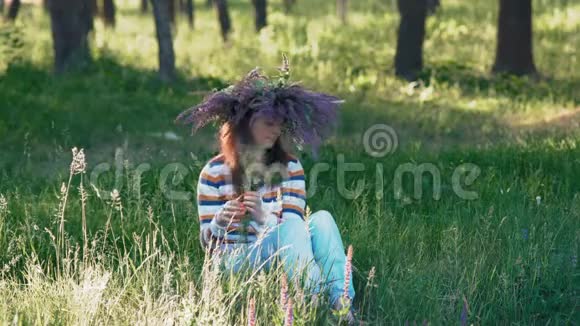 美丽的女人头上有一朵花从矢车菊中采撷田野的花朵坐在草地上视频的预览图