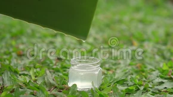 一滴芦荟汁掉进小玻璃罐里视频的预览图
