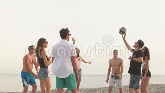 人们在夏天玩沙滩排球视频的预览图