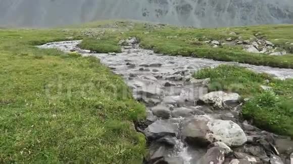 山河流过岩石阿尔泰山景观视频的预览图