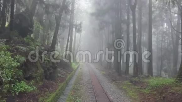 阿里山风景区旧废弃铁路台湾雾霾雾森林鸟瞰图视频的预览图