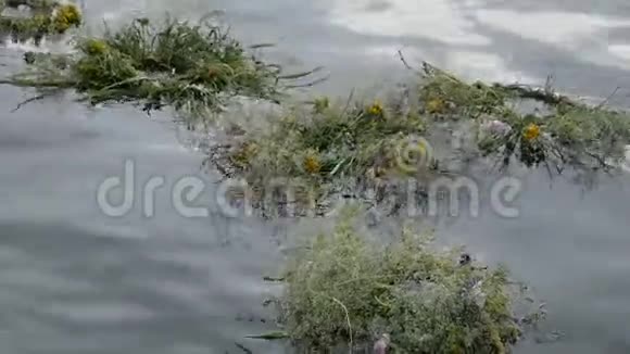 在庆祝伊万库帕拉的节日期间许多花圈带来了河水视频的预览图