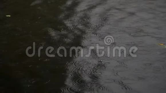 雨水滴落在河流或池塘的水面上在水面上盘旋视频的预览图