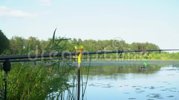 夏日湖上的钓鱼竿专业钓竿等待在河边被咬视频的预览图