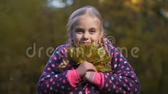 漂亮的女学生拿着黄叶享受秋天的天气快乐视频的预览图